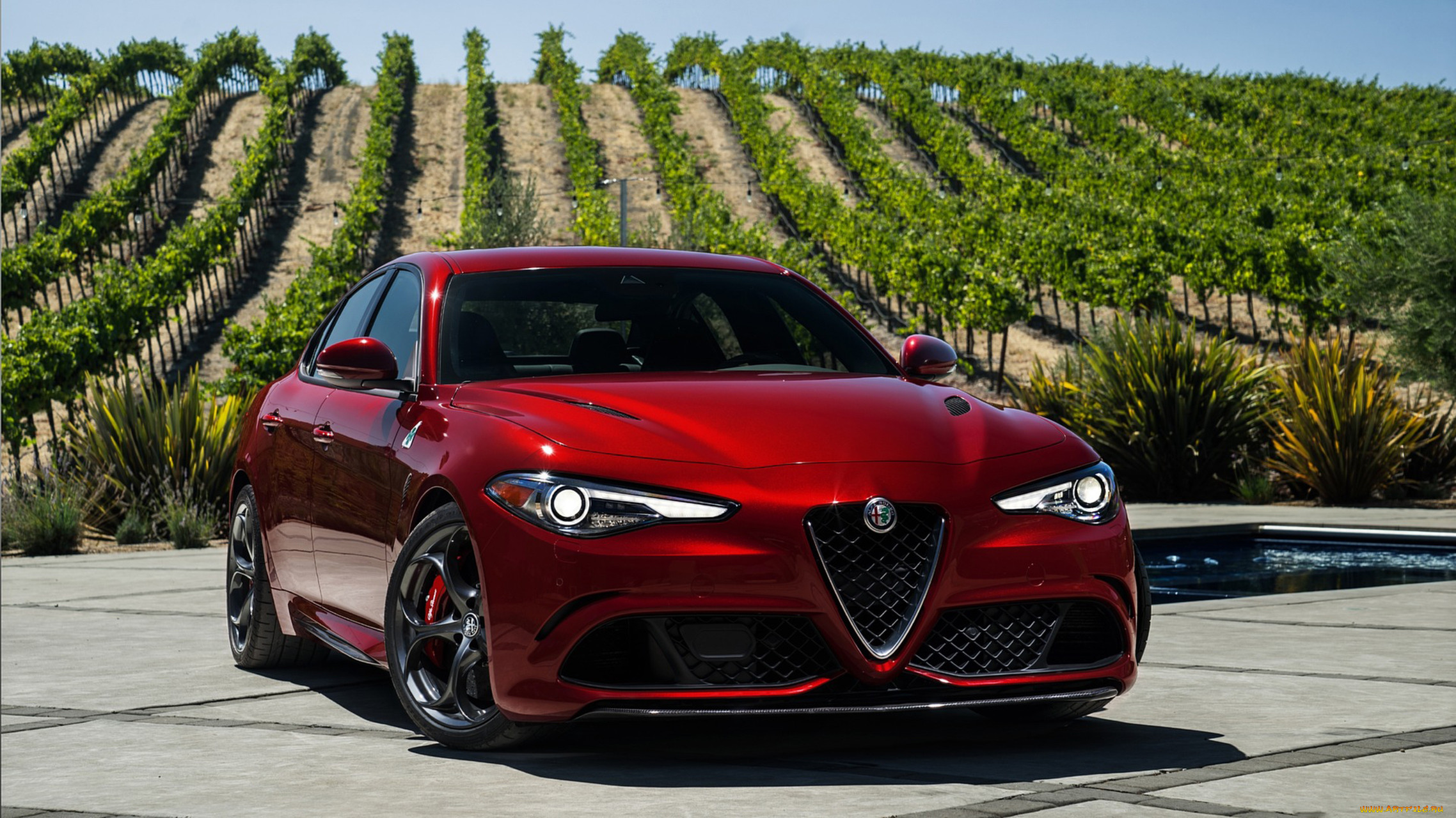alfa romeo giulia quadrifoglio 2017, , alfa romeo, giulia, alfa, romeo, 2017, quadrifoglio
